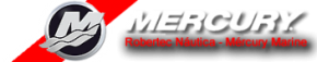 Assistência Técnica Autorizada Mercury Marine –  Robertec Náutica